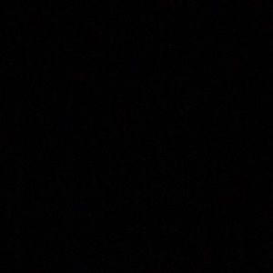 Meet your Posher, Mona